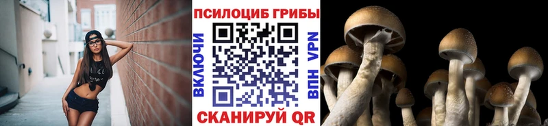 Купить  Судак  Псилоцибиновые грибы ЛСД 